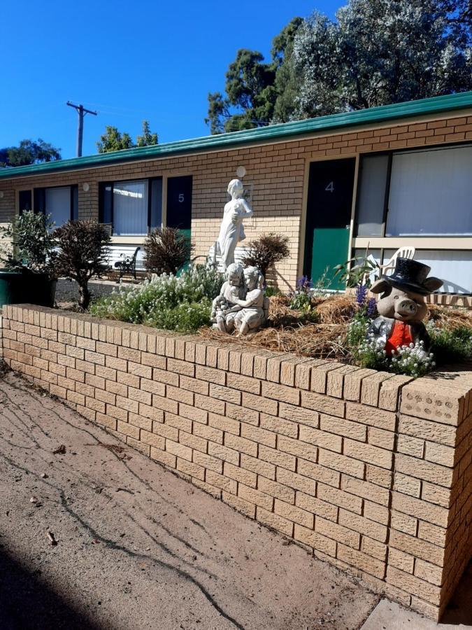 Bega Southtown Motor Inn エクステリア 写真